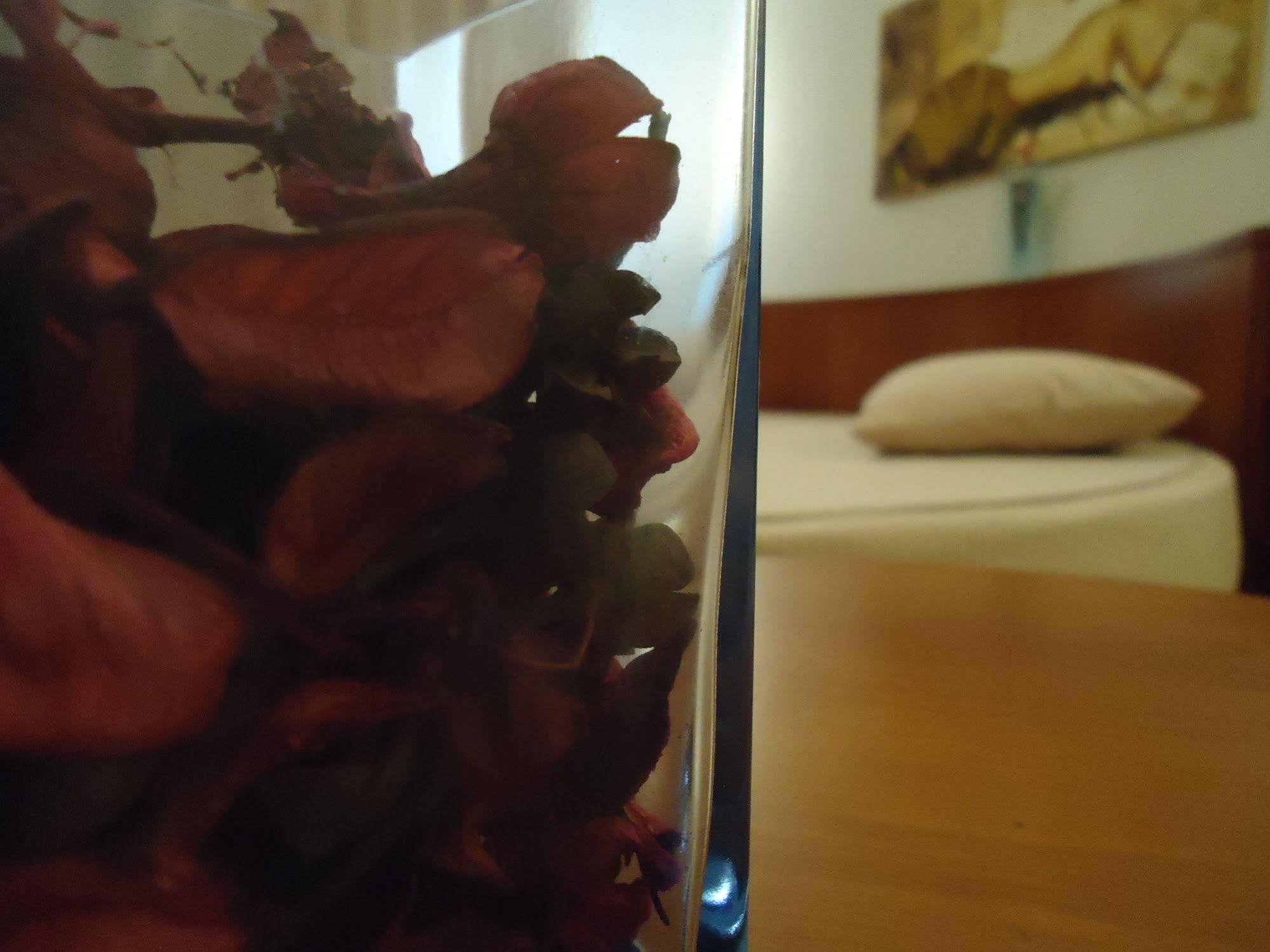 Hotel Pombeira Guarda Dış mekan fotoğraf